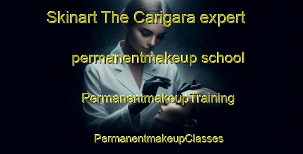 Skinart The Carigara expert permanentmakeup school | #PermanentmakeupTraining #PermanentmakeupClasses #SkinartTraining-Philippines