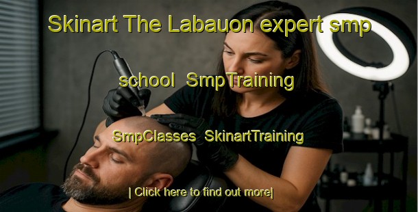Skinart The Labauon expert smp school | SmpTraining | SmpClasses | SkinartTraining-Philippines