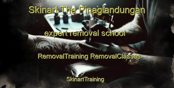 Skinart The Pinaglandungan expert removal school | #RemovalTraining #RemovalClasses #SkinartTraining-Philippines