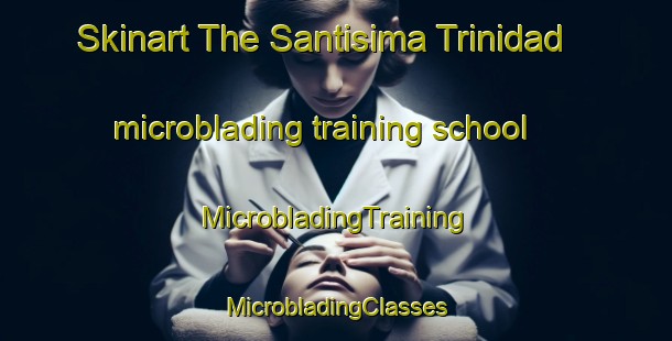 Skinart The Santisima Trinidad microblading training school | #MicrobladingTraining #MicrobladingClasses #SkinartTraining-Philippines