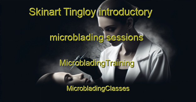 Skinart Tingloy introductory microblading sessions | #MicrobladingTraining #MicrobladingClasses #SkinartTraining-Philippines