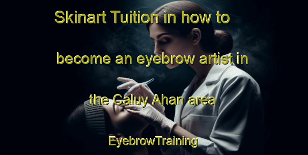 Skinart Tuition in how to become an eyebrow artist in the Caluy Ahan area | EyebrowTraining | EyebrowClasses | SkinartTraining-Philippines