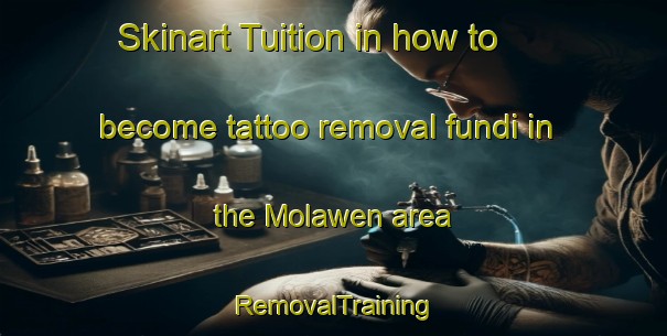 Skinart Tuition in how to become tattoo removal fundi in the Molawen area | RemovalTraining | RemovalClasses | SkinartTraining-Philippines