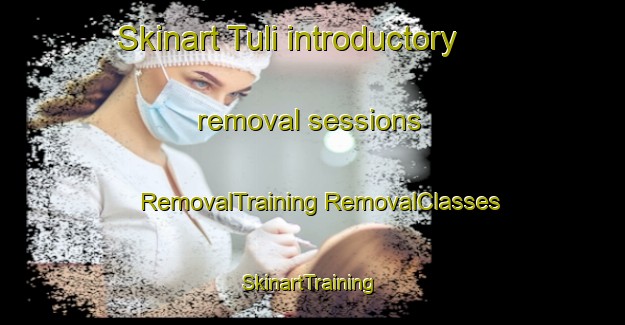 Skinart Tuli introductory removal sessions | #RemovalTraining #RemovalClasses #SkinartTraining-Philippines