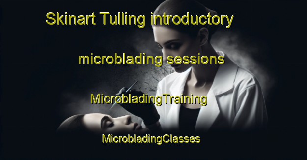 Skinart Tulling introductory microblading sessions | MicrobladingTraining | MicrobladingClasses | SkinartTraining-Philippines
