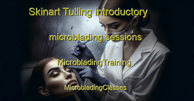 Skinart Tulling introductory microblading sessions | MicrobladingTraining | MicrobladingClasses | SkinartTraining-Philippines
