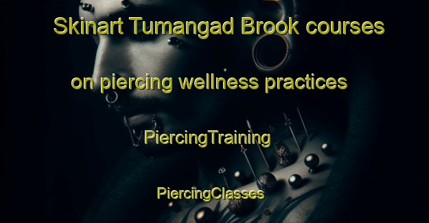 Skinart Tumangad Brook courses on piercing wellness practices | PiercingTraining | PiercingClasses | SkinartTraining-Philippines