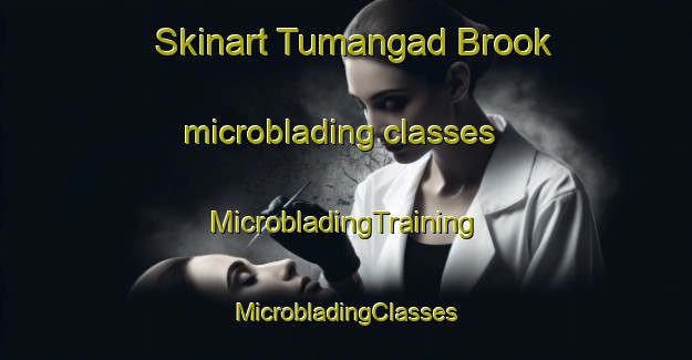 Skinart Tumangad Brook microblading classes | #MicrobladingTraining #MicrobladingClasses #SkinartTraining-Philippines