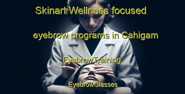 Skinart Wellness-focused eyebrow programs in Cahigam | EyebrowTraining | EyebrowClasses | SkinartTraining-Philippines