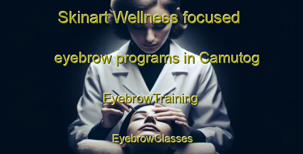 Skinart Wellness-focused eyebrow programs in Camutog | EyebrowTraining | EyebrowClasses | SkinartTraining-Philippines