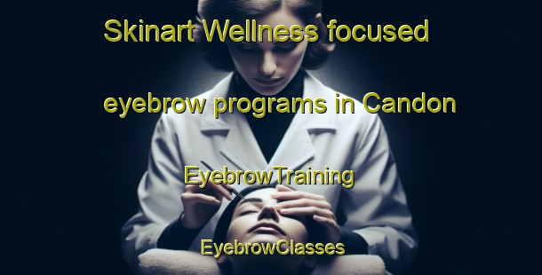 Skinart Wellness-focused eyebrow programs in Candon | EyebrowTraining | EyebrowClasses | SkinartTraining-Philippines