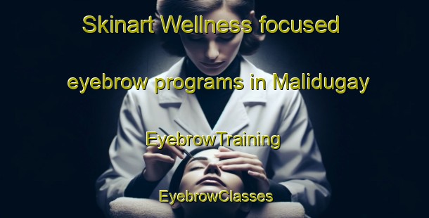 Skinart Wellness-focused eyebrow programs in Malidugay | EyebrowTraining | EyebrowClasses | SkinartTraining-Philippines