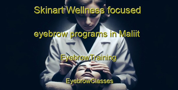 Skinart Wellness-focused eyebrow programs in Maliit | EyebrowTraining | EyebrowClasses | SkinartTraining-Philippines