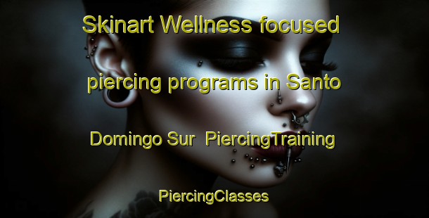 Skinart Wellness-focused piercing programs in Santo Domingo Sur | #PiercingTraining #PiercingClasses #SkinartTraining-Philippines