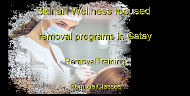 Skinart Wellness-focused removal programs in Gatay | RemovalTraining | RemovalClasses | SkinartTraining-Philippines