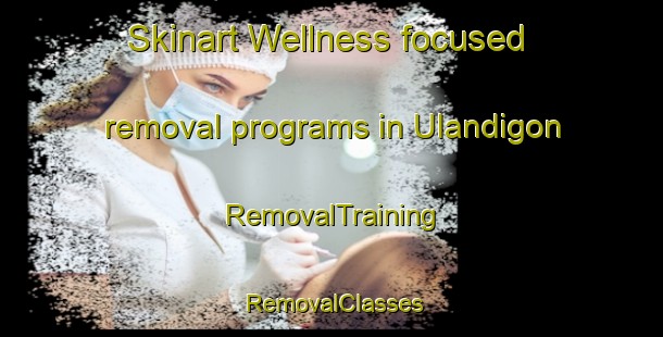 Skinart Wellness-focused removal programs in Ulandigon | RemovalTraining | RemovalClasses | SkinartTraining-Philippines