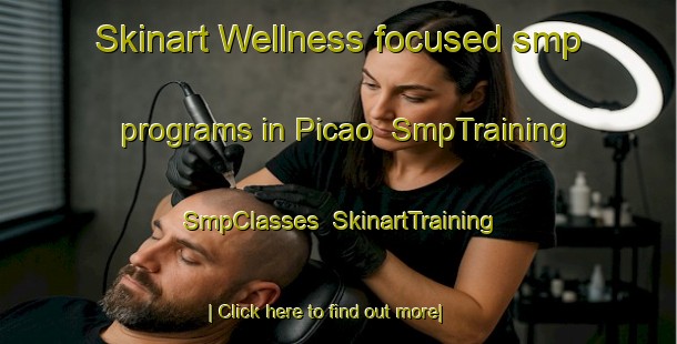 Skinart Wellness-focused smp programs in Picao | SmpTraining | SmpClasses | SkinartTraining-Philippines