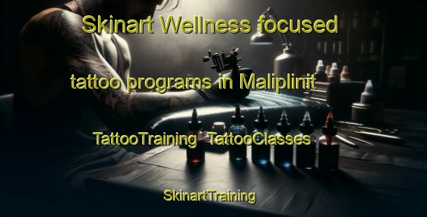 Skinart Wellness-focused tattoo programs in Maliplinit | TattooTraining | TattooClasses | SkinartTraining-Philippines